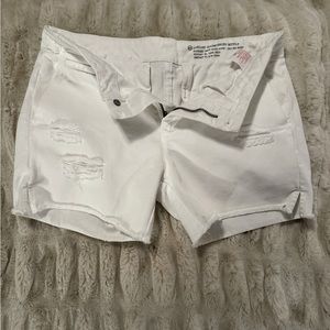 AG Ladies Distress “Boy Pit Short”